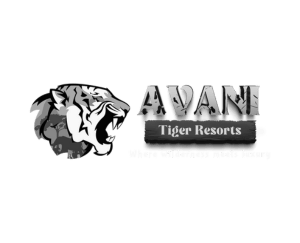 Avani Tiger Resorts – Vaiva Studios Avani Tiger Resorts - Vaiva Studios